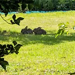 Le Relais Du Beffroi & Bed & Breakfast
