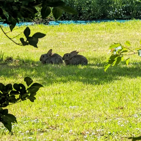 Relais Du Beffroi D'hôtes Couette-café