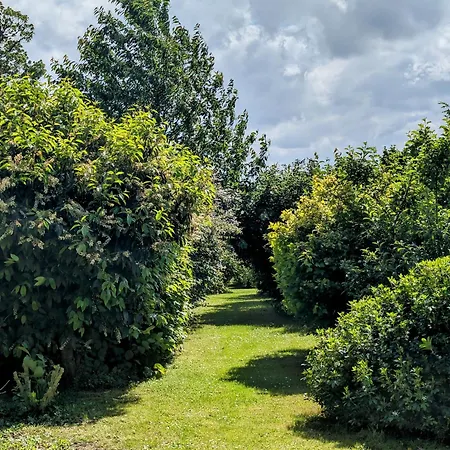 Couette-café Relais Du Beffroi D'hôtes 4*