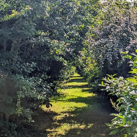 Relais Du Beffroi D'hôtes Couette-café Saint-Riquier