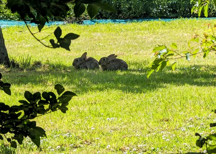 Le Relais Du Beffroi & Bed and Breakfast