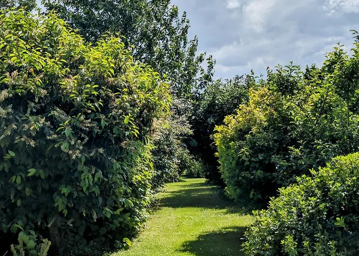 Bed and Breakfast Le Relais Du Beffroi & 4*